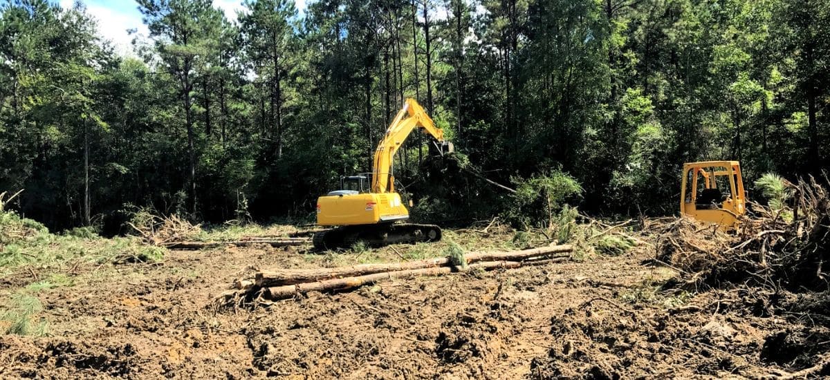 Servicii de defrisare a terenurilor in Bucuresti/Ilfov